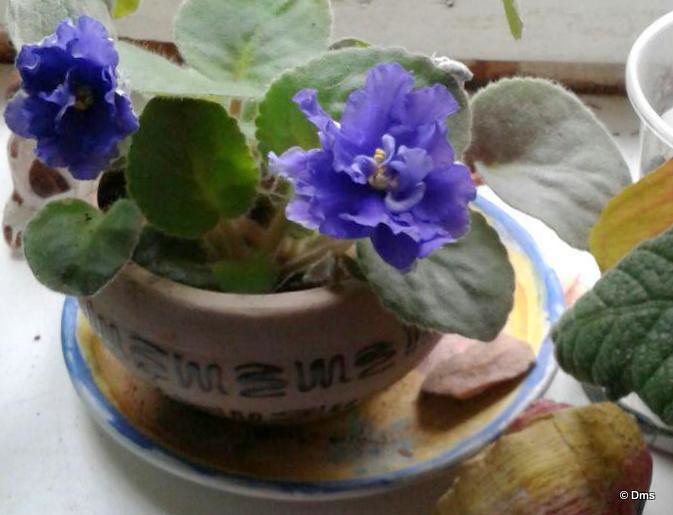 photo_2017-10-26_22-03-13